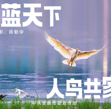 ͬ{ B҈@